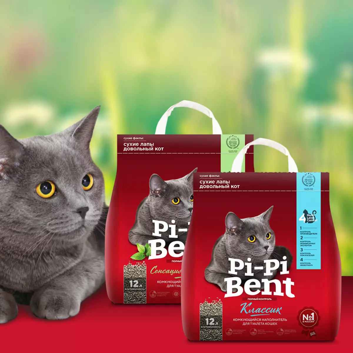 PI-PI BENT fillers: Overview of commercial fillers for feline toilet 15 kg and other volume, reviews 22619_14