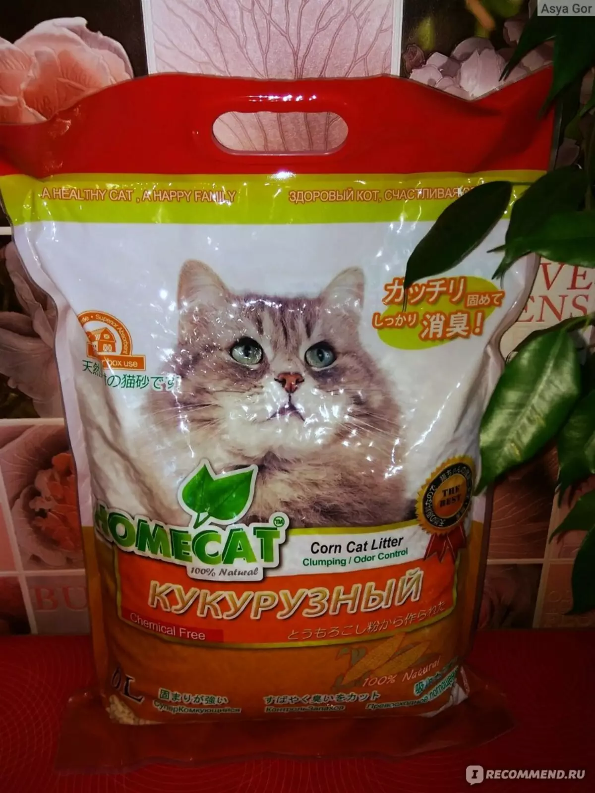 HomeCat填料：商业“绿茶”，硅胶，玉米，“标准”和其他猫科技卫生间的其他填料。顾客评论 22626_4