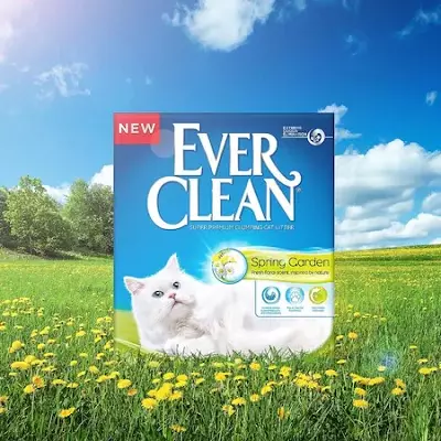 Alceiros sempre limpos: em pacotes 10 e 6 kg, comércio, com um cheiro de lavanda e outros enchimentos para um banheiro felino, Reviews 22627_9