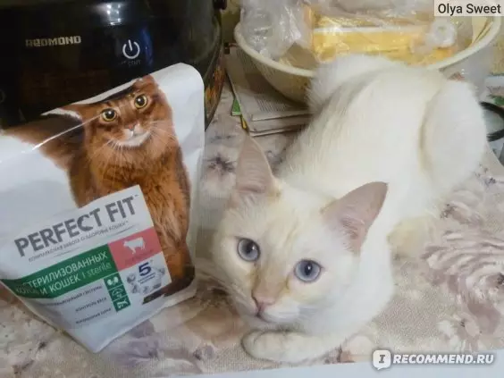 Feed til steriliserede katte Perfekt pasform (20 billeder): tør og våd feed 10 kg og andet volumen. Sammensætningen af ​​foder til neuterede katte. Bedømmelser af læger 22637_2