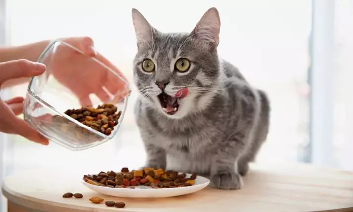 Alimentación para gatos esterilizados Fit perfecto (20 fotos): alimentación seca e húmida 10 kg e outro volume. A composición do feed para os gatos castrados. Revisións de médicos 22637_20