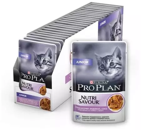 Purina Pro Plan pentru pisoi: Feed pentru pisici sterilizate Kitten Somon sterilizat și compoziția lor, alimente lichide cu Turcia și altele, recenzii 22647_15