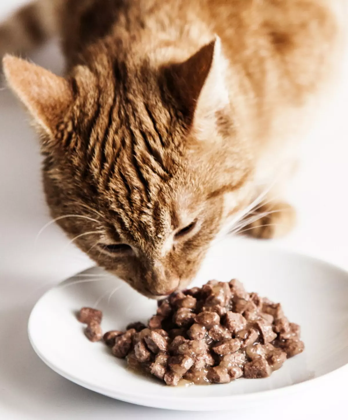 Wet Food for Cats Purina Pro Plan: Puffy en ingeblikt voedsel met patestones, voedersamenstellingen Nutrisavour delicate, NutrisAvour gesteriliseerd en anderen 22658_10