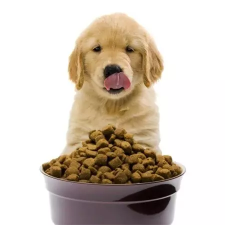 Нахранете Guabi Natural: видове храни за кучета и котки, за котенца и кученца, съставът на суха храна за кучета дребни камъни. Преглед на отзивите на клиентите 22661_11
