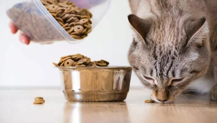 Alimentación seca para gatos Purina Pro Plan: Composición y tipos. Dieta veterinaria Ur urinaria y delicada, esterilizada y otra alimentación. Tarifa diaria. Comentarios 22666_18