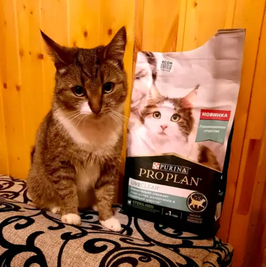 Ushqimi i thatë për Cats Purina Pro Plani: Përbërja dhe llojet. Ushqimi veterinar ur urinar dhe delikate, sterilizuar dhe ushqim të tjera. Norma ditore. Shqyrtime 22666_21