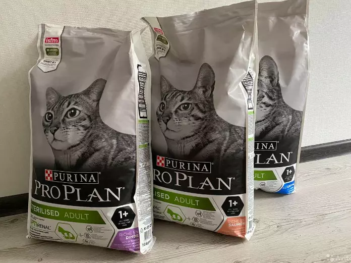 Ushqimi i thatë për Cats Purina Pro Plani: Përbërja dhe llojet. Ushqimi veterinar ur urinar dhe delikate, sterilizuar dhe ushqim të tjera. Norma ditore. Shqyrtime 22666_22