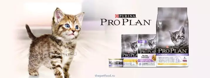 Feed garing kanggo kucing Purina Pro Rencana: Komposisi lan jinis. Diet Veterinary lan alus, disterilisasi lan feed liyane. Tingkat saben dina. Ulasan 22666_3