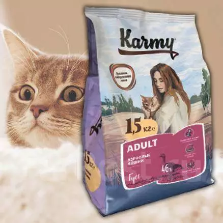 Karmy eupan: komposisi. produsén feed garing tina anak ucing premium-kelas na sejen, produk baseuh keur sato. Ulasan ulasan 22667_4