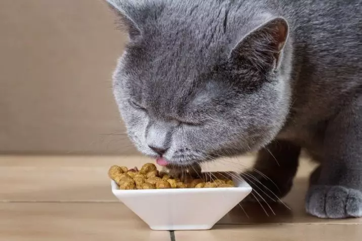 Suchý Monge krmivo pro kočky: Složení. Přehled zpětné vazby s hovězím masem a králíkem pro dospělé kočky a koťata, jiné italské jídlo. Recenze 22680_27
