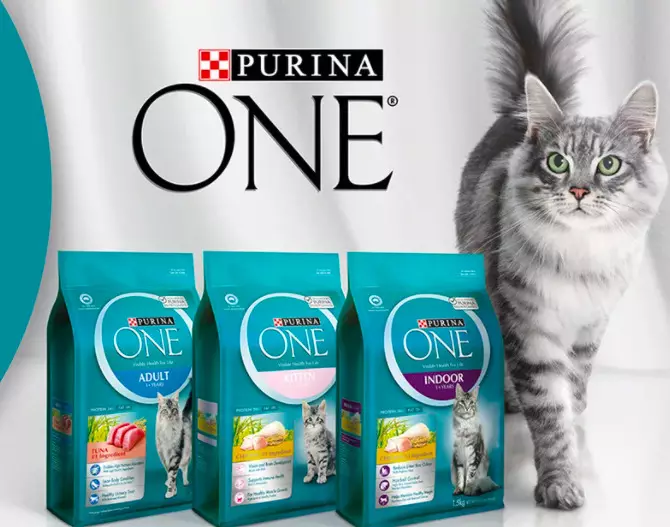 Purina jeden dla sterylizowanych kotów: suche jedzenie dla kasowanych kotów 3-10 kg i mokry, ich skład. Pasza kotów z łososiem i innymi produktami. Opinie 22683_3
