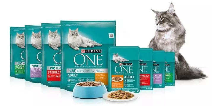 Purina One vir gesteriliseerde katte: Droë kos vir gekastreer katte 3-10 kg en nat, hul samestelling. Kat voer met salm en ander produkte. Resensies 22683_7