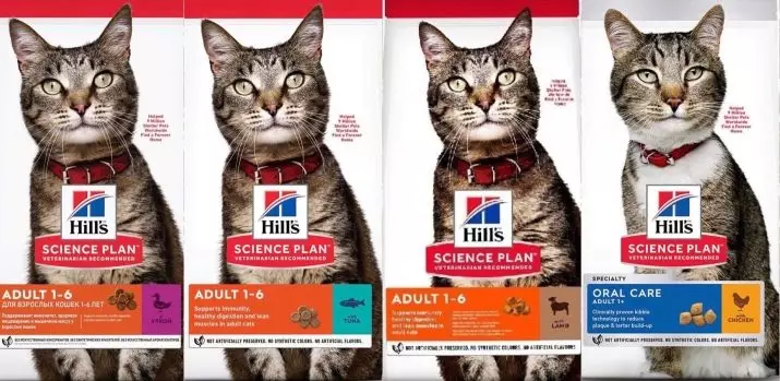 Hillova mačka hrana: sastav mačje hrane. Konzervirana hrana za mačke. Jesu li oni najbolji Plan Purina Pro i Royal Canin? Hraniti se povrćem i piletinom. Recenzije 22688_22