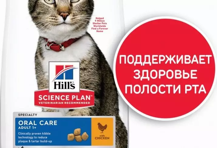 Umpan kucing Hill: Komposisi pakan kucing. Makanan kaleng untuk kucing. Apakah mereka Purina Pro Plan terbaik dan Royal Canin? Beri makan dengan sayuran dan ayam. Ulasan 22688_24