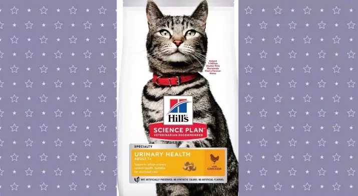 Hill's Cat Feed: Sammansättning av Feline Feed. Konserverad mat för katter. Är de den bästa Purina Pro Plan och Royal Canin? Foder med grönsaker och kyckling. Recensioner 22688_25