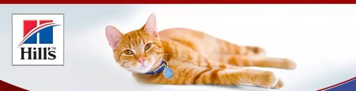 Hill's Cat Feed: შემადგენლობა feline feed. დაკონსერვებული საკვები კატა. არიან ისინი საუკეთესო Purina პრო გეგმა და სამეფო Canin? შესანახი ბოსტნეულით და ქათამი. შეფასება 22688_3