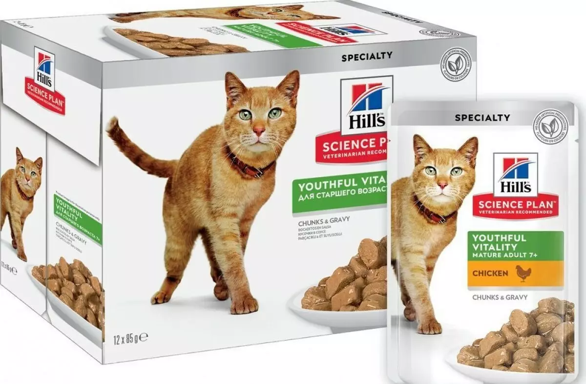 Hill's Cat Feed: Sammansättning av Feline Feed. Konserverad mat för katter. Är de den bästa Purina Pro Plan och Royal Canin? Foder med grönsaker och kyckling. Recensioner 22688_35