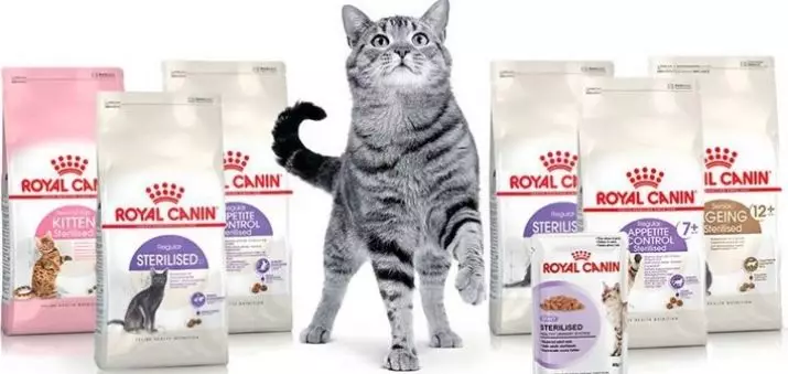 Hillin kissan syöttö: kissan syötön koostumus. Purkitettu ruoka kissoille. Ovatko ne parhaat Purina Pro Plan ja Royal Canin? Rehu vihannesten ja kanan kanssa. Arvostelut 22688_49