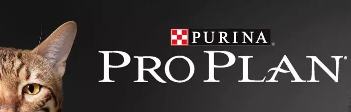 හිල්ගේ බළලා සංගුණ කරන්න: ෆෙලයින් සංග්රහයේ සංයුතිය. බළලුන් සඳහා ටින් කළ ආහාර. ඔවුන් හොඳම Purina Pro සැලැස්ම සහ රාජකීය කැනින් ද? එළවළු සහ කුකුල් මස් සමග පෝෂණය කරන්න. සමාලෝචන 22688_50