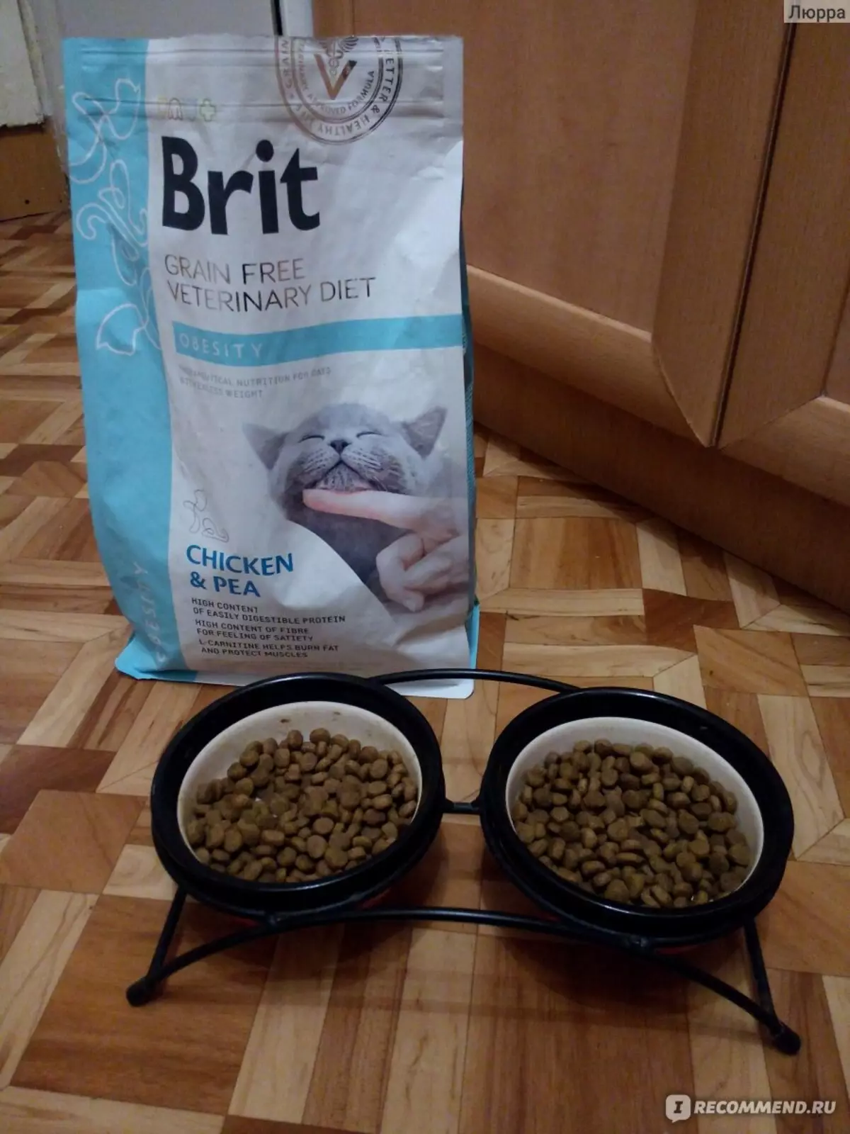 Alimento Seco para gatos Brit: A composição da alimentação do prêmio de linha, cuidado e dieta veterinária para gatinhos e gatos adultos, comentários 22691_15