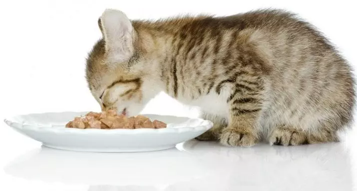 Mokra mačka hrana Brita: konzervirane in puffi iz Linek Premium in Care, njihova sestava. Ocene kupcev o blagovni znamki hrane 22693_11