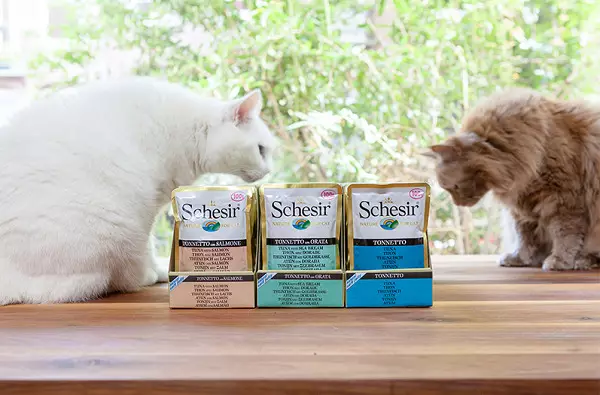 Mačke za mačke Schesir: suha i mokra za mačiće i sterilizirane mačke. Sastav mačjeg konzerviranja s tunom i drugim hranom za odrasle i starije mačke. Recenzije 22694_22