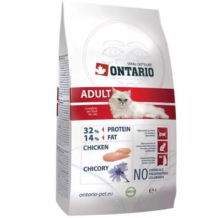 Mat för katter Ontario: För kattungar och steriliserade katter, torra matkompositioner och våt konserverad tillverkare. Recensioner 22695_20