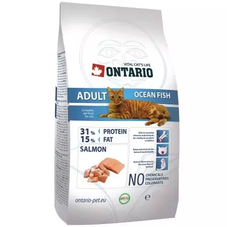 Mad til katte Ontario: Til killinger og steriliserede katte, tørre fødevaresammensætninger og våd dåsefabrikant. Anmeldelser 22695_21
