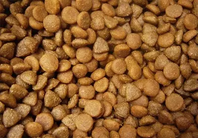 猫のための食品オンタリオ州：子猫や滅菌猫、乾燥食品組成物、湿式缶詰の製造業者のために。レビュー 22695_31