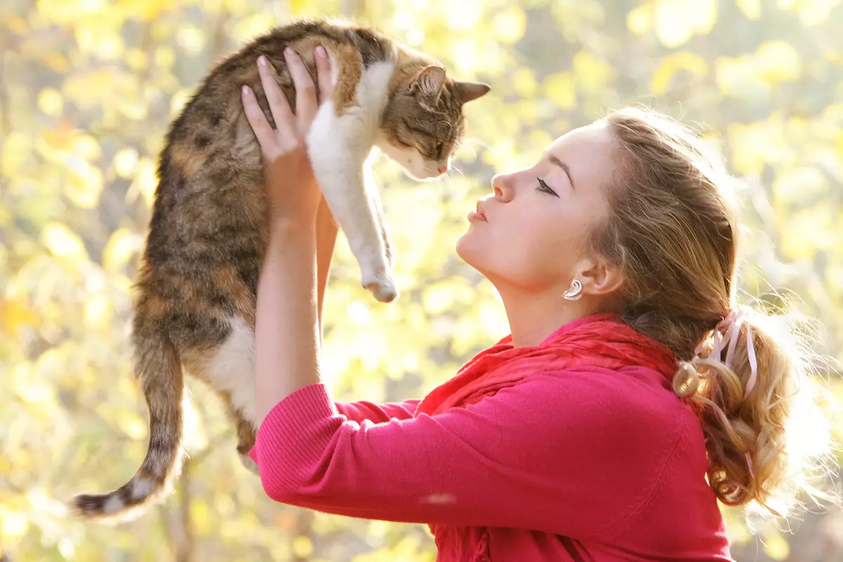 غذا برای گربه انتاریو: برای بچه گربه ها و گربه های استریل، ترکیبات خشک خشک و تولید کننده کنسرو مرطوب. بررسی ها 22695_6