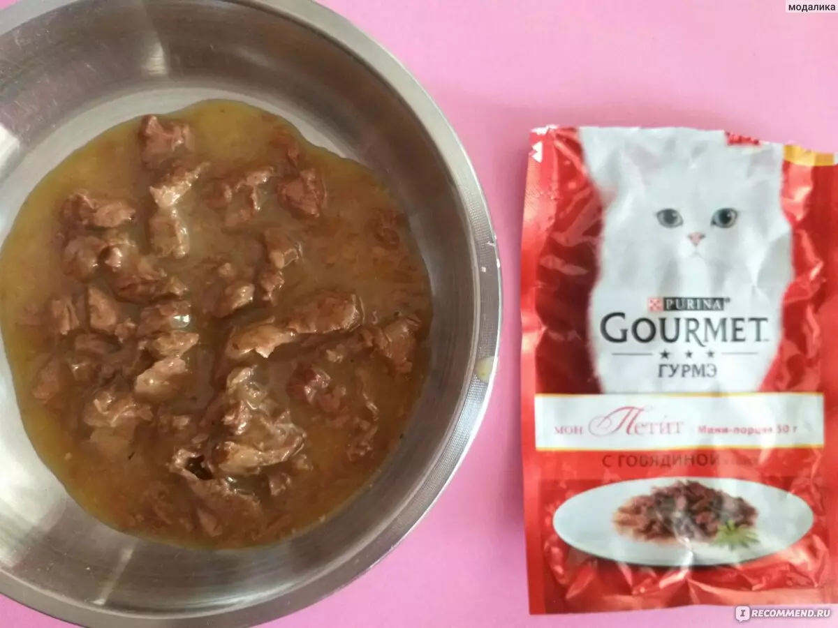 Gourmet: pakan kucing dan kucing purina, pate basah dan makanan kaleng kucing lainnya, komposisi mereka, ulasan 22711_36