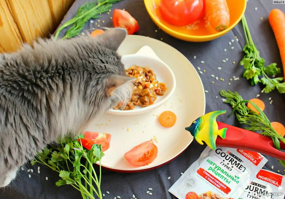 Gourmet: อาหารแมวและลูกแมว Purina, Pates เปียกและอาหารกระป๋องอื่น ๆ องค์ประกอบของพวกเขาความคิดเห็น 22711_47
