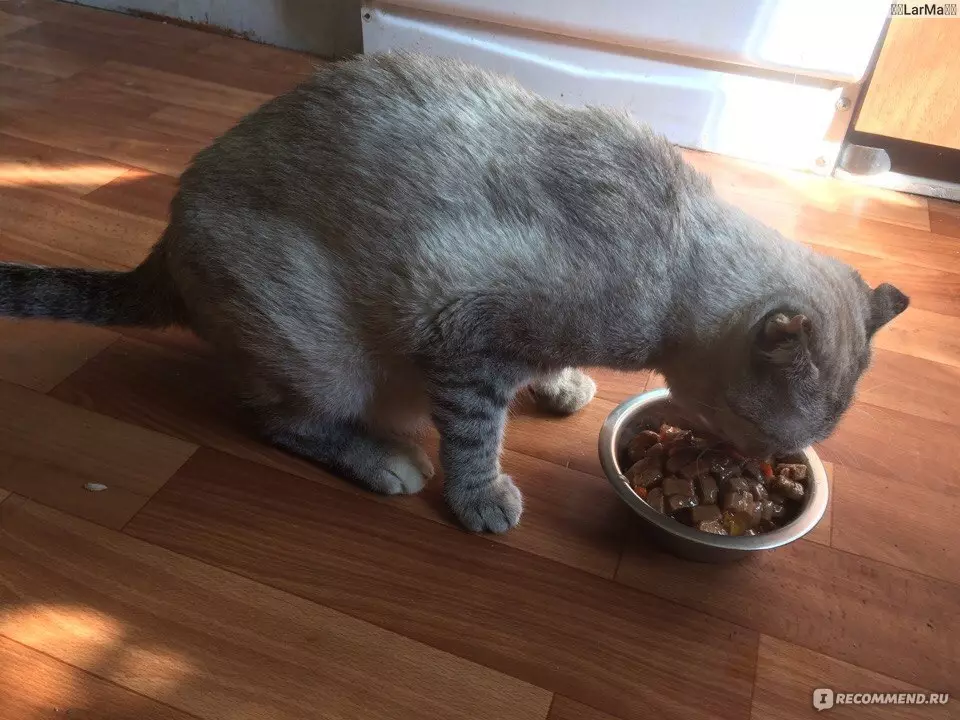 Gourmet: อาหารแมวและลูกแมว Purina, Pates เปียกและอาหารกระป๋องอื่น ๆ องค์ประกอบของพวกเขาความคิดเห็น 22711_48