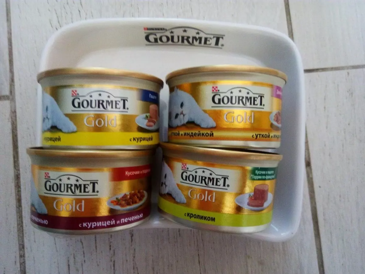 Gourmet: Cat feed at purina kuting, wet pates at iba pang feline canned food, ang kanilang komposisyon, mga review 22711_51