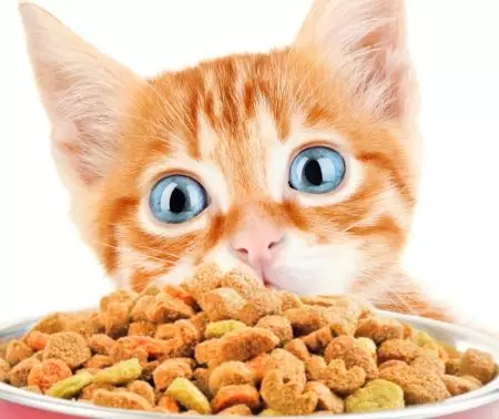Královská farma krmiva: Pro koťata a sterilizované kočky, suché a mokré kočičí jídlo s kuřecím masem a jiným složením 22714_15