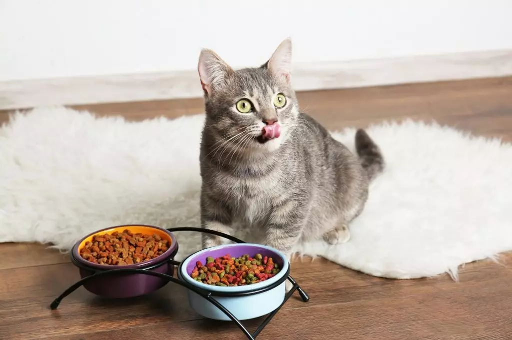 Real Farm Cat Feed: para gatitos e gatos esterilizados, alimentos secos e húmidos felinos con polo e outra composición 22714_20
