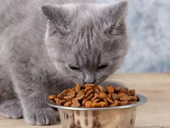 रॉयल फार्म मांजरी फीड: मांजरी आणि निर्जंतुक मांजरी, कोरड्या आणि ओले फेलिन अन्न चिकन आणि इतर रचना 22714_6
