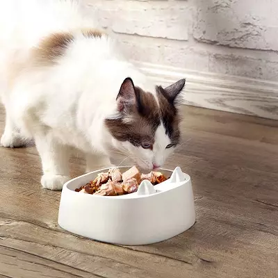 Brooksfield Cat Food: Pre mačiatka a na sterilizované mačky, zloženie, suché a mokré mačkové potraviny Super Premium Triede, recenzia 22715_2