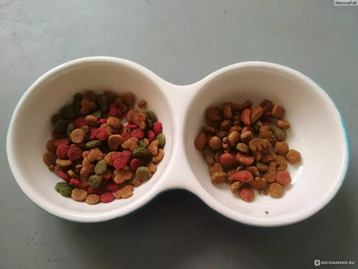 Котешка храна Darling: Feline суха храна от Purina в опаковки 2 кг и 10 кг, различни видове, състав и рецензии 22732_19