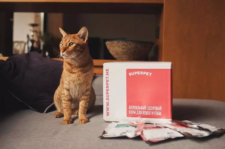 SuperPet Feed: муур, нохойн хувьд. Байгалийн тэжээлийн найрлага. Тоймыг хянах 22739_10