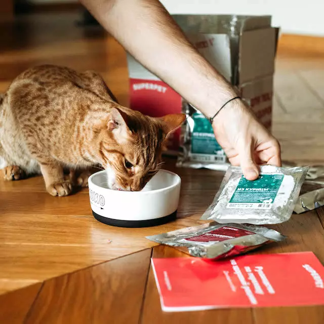 خوراک Superpet: برای گربه ها و سگ ها. ترکیب خوراک طبیعی. بررسی بررسی 22739_3