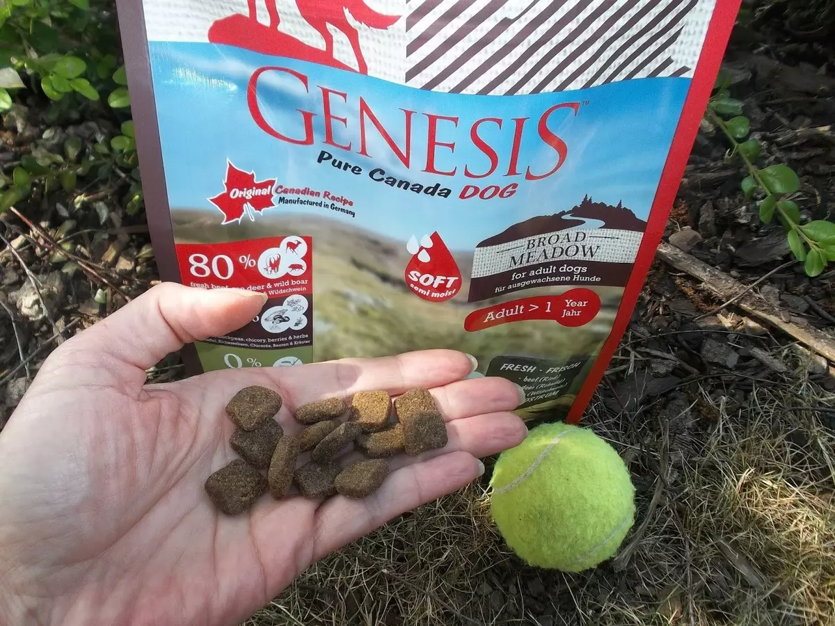 Hensesis Pure Canada Feed: para perros y gatos, la composición de alimentos secos para gatitos y cachorros, una visión general de la gama y revisiones de los propietarios 22741_3