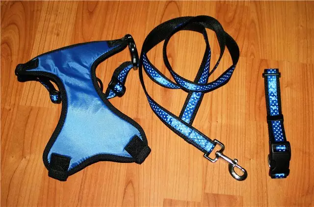 Cutter for husky (36 photos): driving and walking polls, collars and leashes recommended for dog breed. What is better to choose? 22744_19