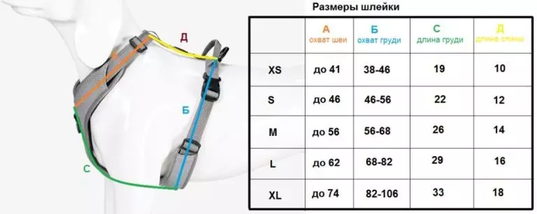 Կտրեք Husky- ի համար (36 լուսանկար). Շների ցեղատեսակի համար առաջարկվող մանյակներ եւ զբոսանքներ, մանյակներ եւ թարթիչներ: Ինչն է ավելի լավ ընտրել: 22744_31