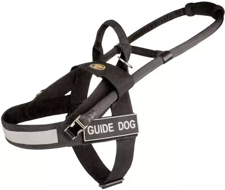 Cutter for husky (36 photos): driving and walking polls, collars and leashes recommended for dog breed. What is better to choose? 22744_6