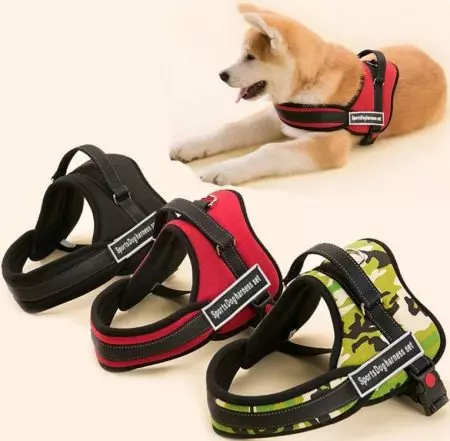 Cutter for husky (36 photos): driving and walking polls, collars and leashes recommended for dog breed. What is better to choose? 22744_8