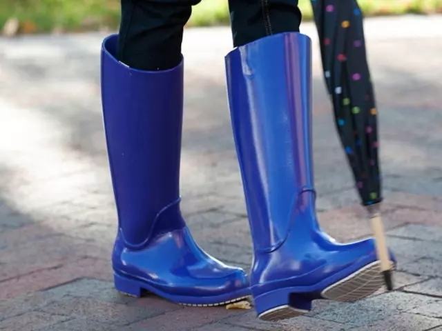 Crocs Boots (57 foto): Bambini per bambini, boots and boots Company Cros, recensioni, modello Wellie Rain Boot 2275_45