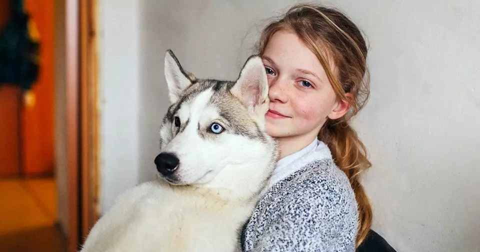 Husky (31 फोटो) आवडतात: कशा प्रकारचे खडक आणि पांढरे कुत्रे त्यांच्यासारखे आहेत? हस्कीसारख्या मोठ्या आणि लहान कुत्र्यांचे नाव काय आहे? 22764_6