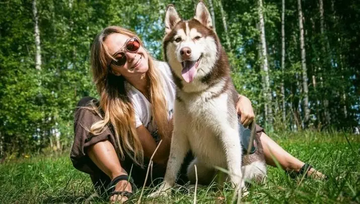 Redhead Husky (29 장의 사진) : 흰색 - 빨간색 강아지는 파란 눈처럼 보이는가? 개가 순전히 붉은 색? 22766_28