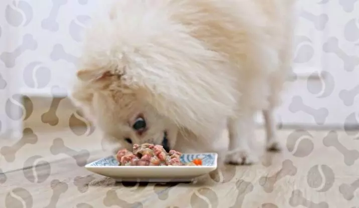 ¿Qué alimentar al Spitz? ¿Cómo alimentar a un cachorro con 1, 2 y 3 meses? ¿Es posible perros manzanas y plátanos? ¿Cómo hacer una dieta para perros de raza Spitz? 22789_28